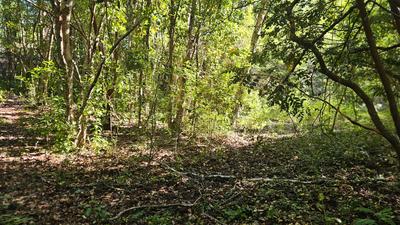 Área despejada para construir