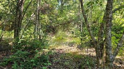 Terreno plano del Lote 16